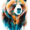 Grizzly bear