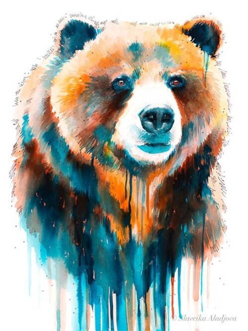 Grizzly bear
