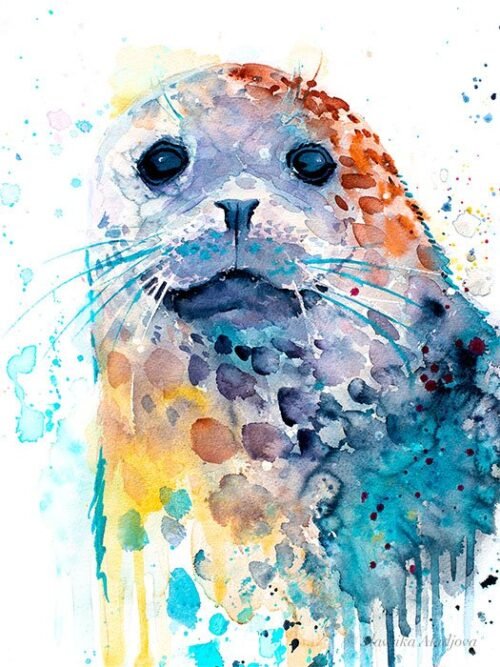 Harbor seal