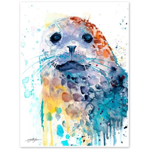 Harbor seal