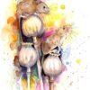 Harvest mouse
