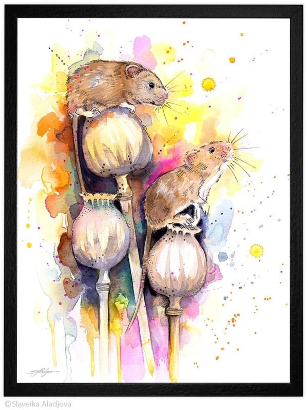 Harvest mouse
