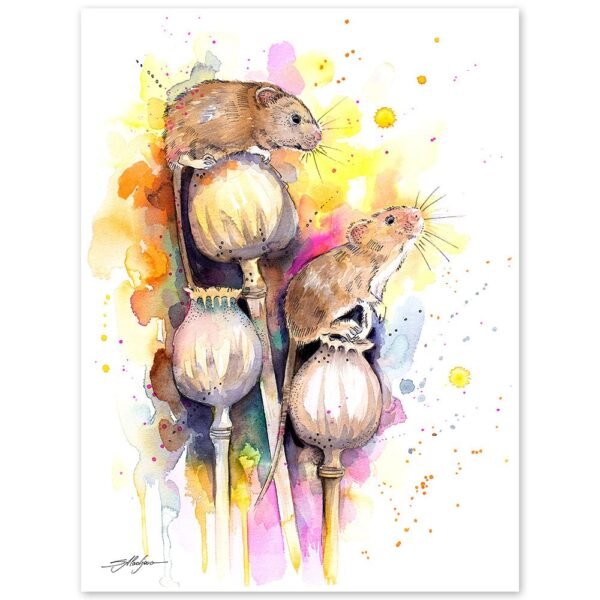 Harvest mouse
