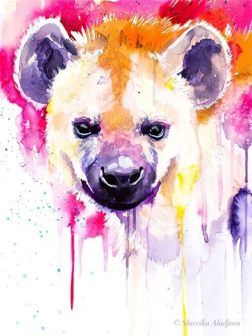 Hyena
