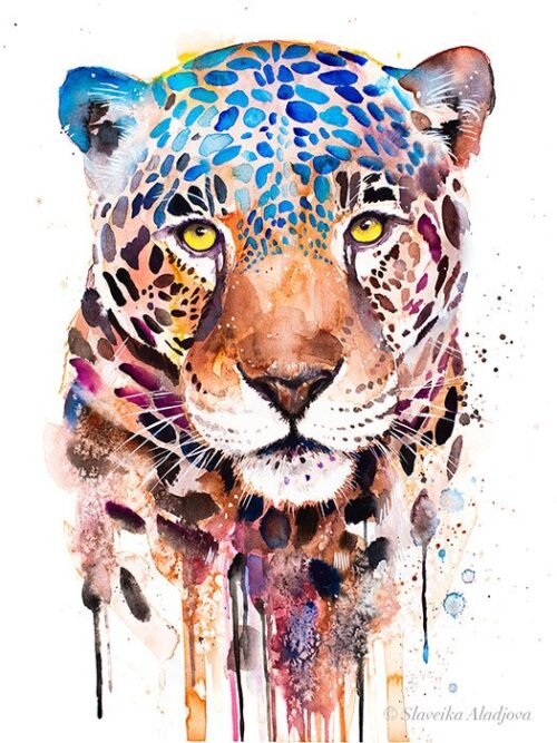 Jaguar