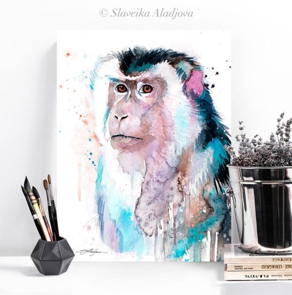 Macaque