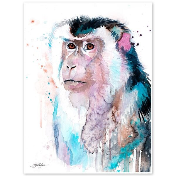 Macaque