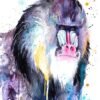 Mandrill