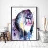 Mandrill, Monkey watercolor painting print by Slaveika Aladjova