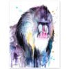 Mandrill
