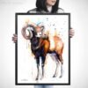 Mouflon ram watercolor 5 Mouflon ram