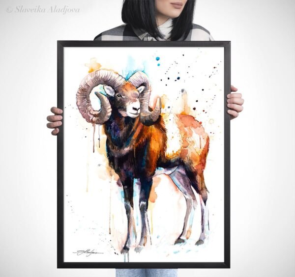 Mouflon ram watercolor 5 Mouflon ram