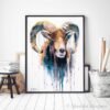Mouflon