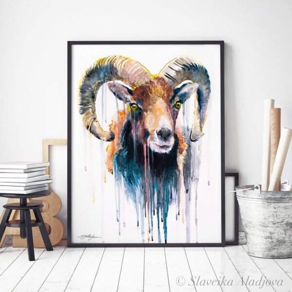 Mouflon