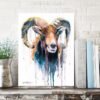 Mouflon