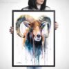 Mouflon