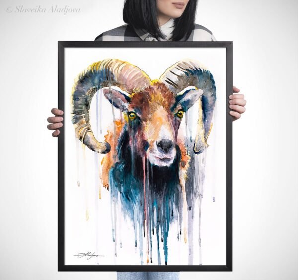 Mouflon