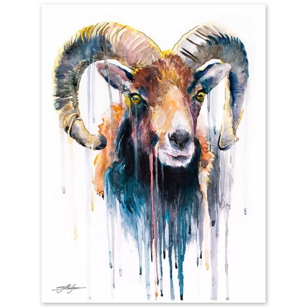 Mouflon