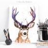 Mule deer, Black-tailed deer