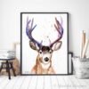 Mule deer, Black-tailed deer