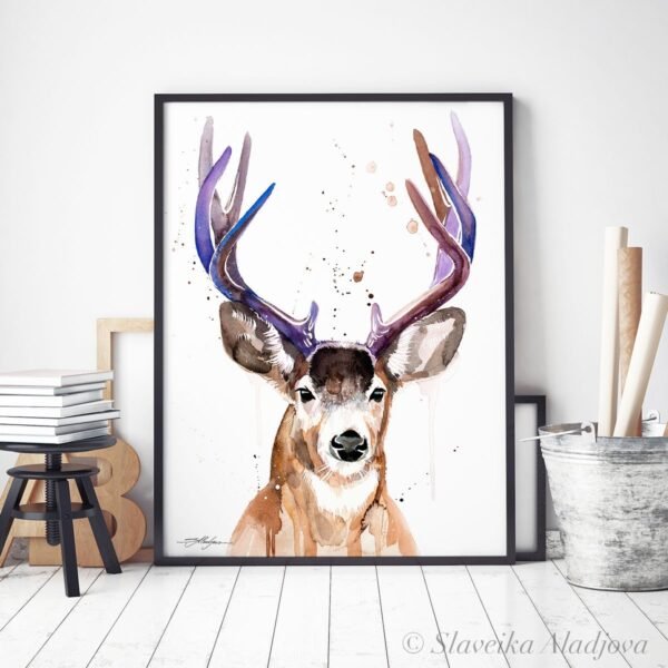 Mule deer, Black-tailed deer