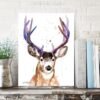 Mule deer, Black-tailed deer