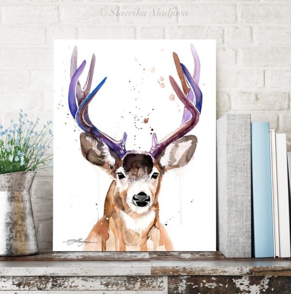 Mule deer, Black-tailed deer