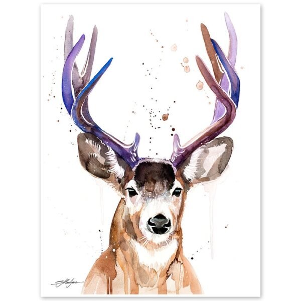 Mule deer, Black-tailed deer