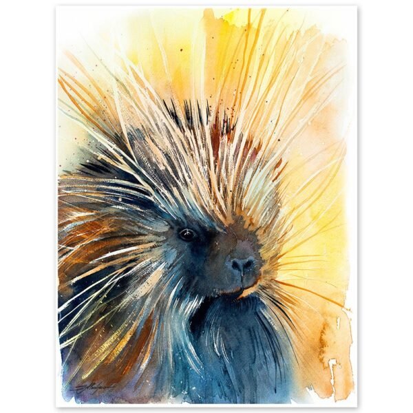 North American porcupine