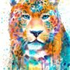 Panther Leopard Jaguar