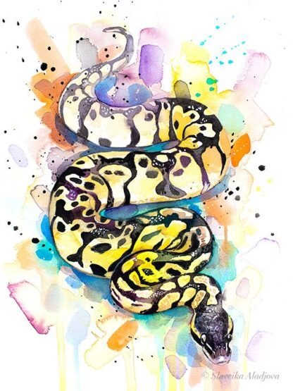 Pastel Ball Python Snake