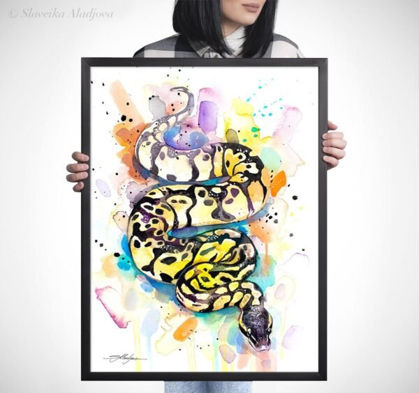 Pastel Ball Python Snake