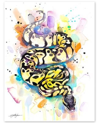 Pastel Ball Python Snake