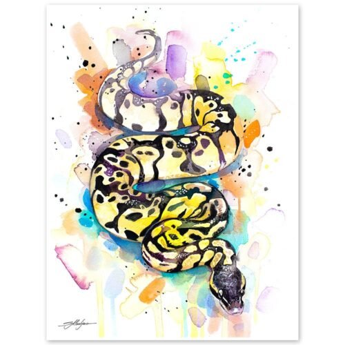 Pastel Ball Python Snake