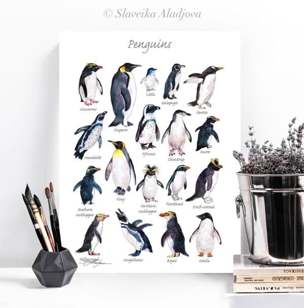 Penguins Penguins