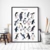 Penguins Penguins