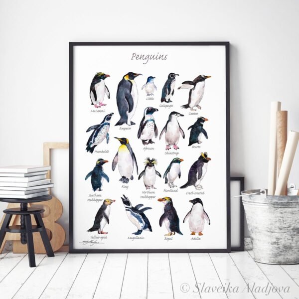 Penguins Penguins