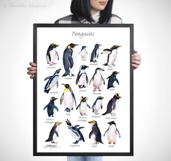 Penguins Penguins