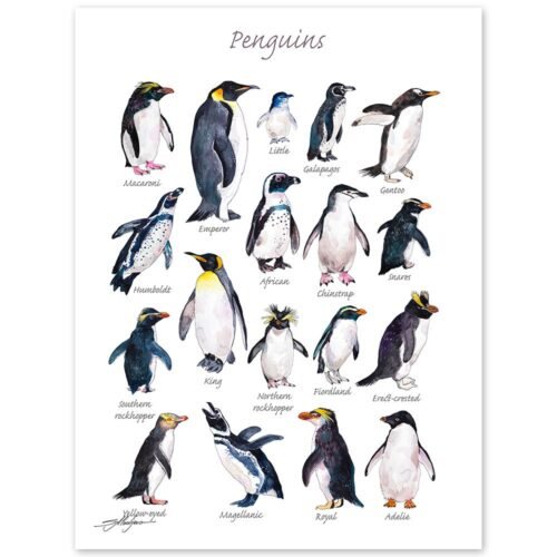 Penguins