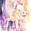 Pig Pig
