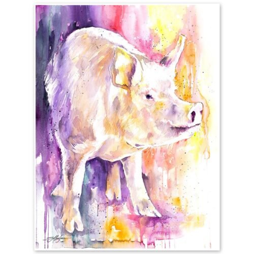 Pig
