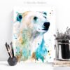 Polar bear Polar bear