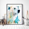 Polar bear Polar bear