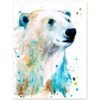 Polar bear Polar bear