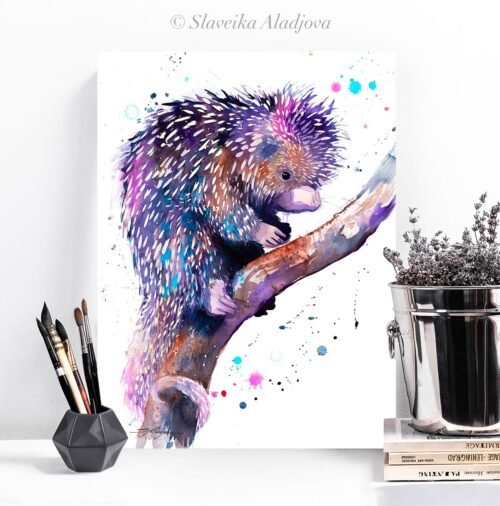 Prehensile-tailed porcupine