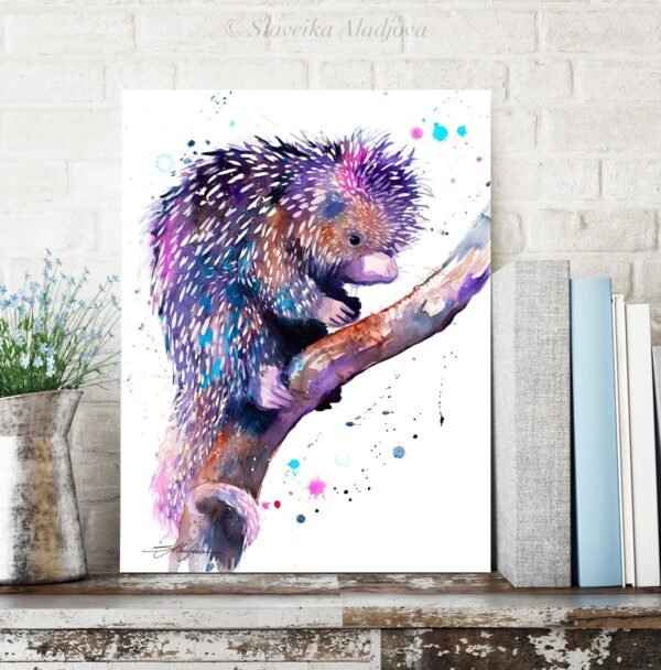Prehensile-tailed porcupine Prehensile-tailed porcupine