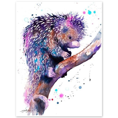 Prehensile-tailed porcupine