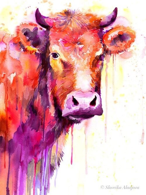 Red Cow