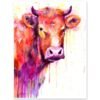 Red Cow