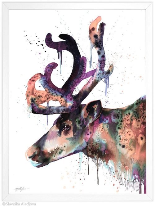 Reindeer